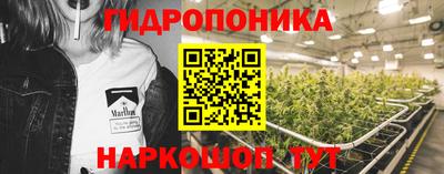 ГАЛЛЮЦИНОГЕННЫЕ ГРИБЫ Свободный