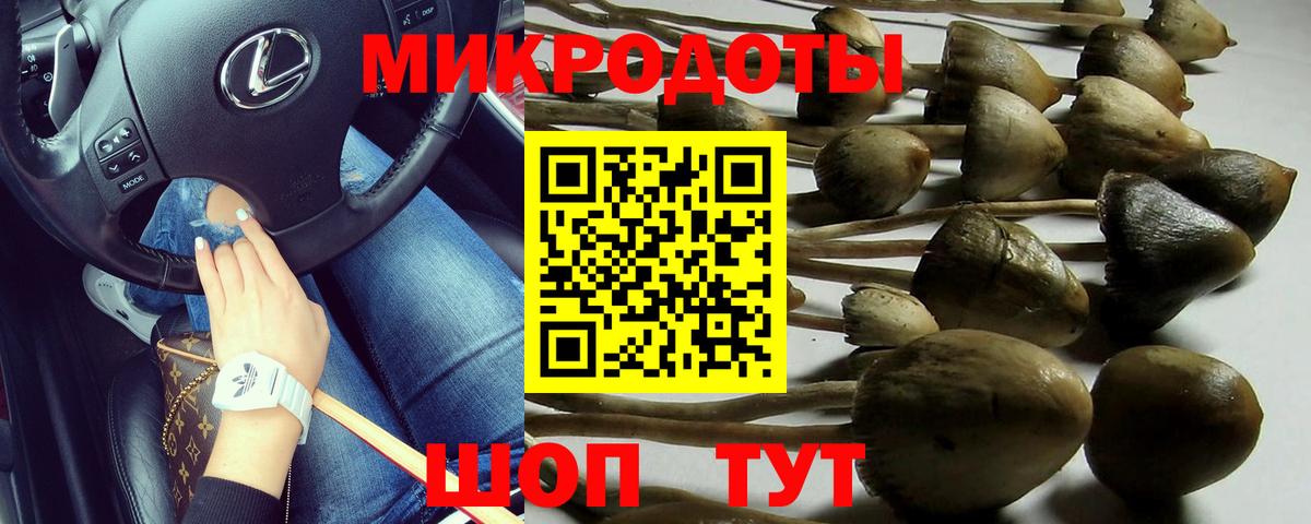 Большой Камень  Псилоцибиновые грибы ЛСД  Вход с VPN  купить закладку  Галлюциногенные грибы Psilocybe 
